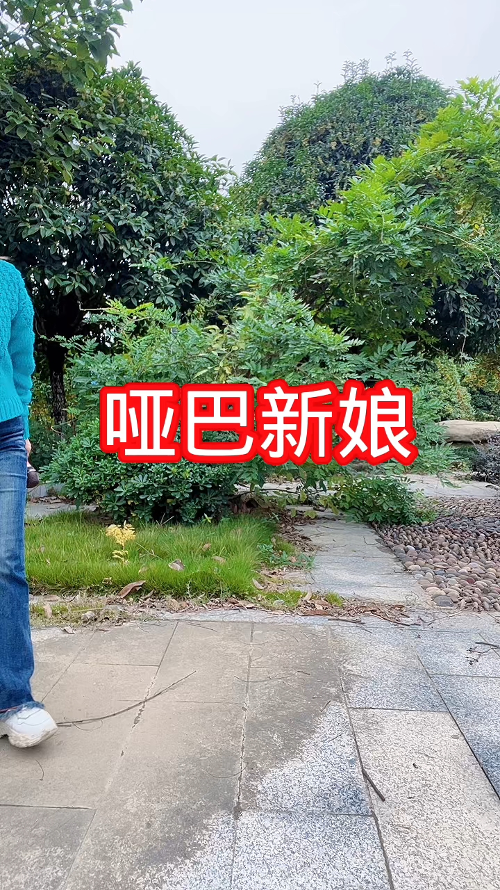 哑巴新娘解说方法手机版哑巴新娘电视剧剧情免费观看-第1张图片-太平洋在线下载