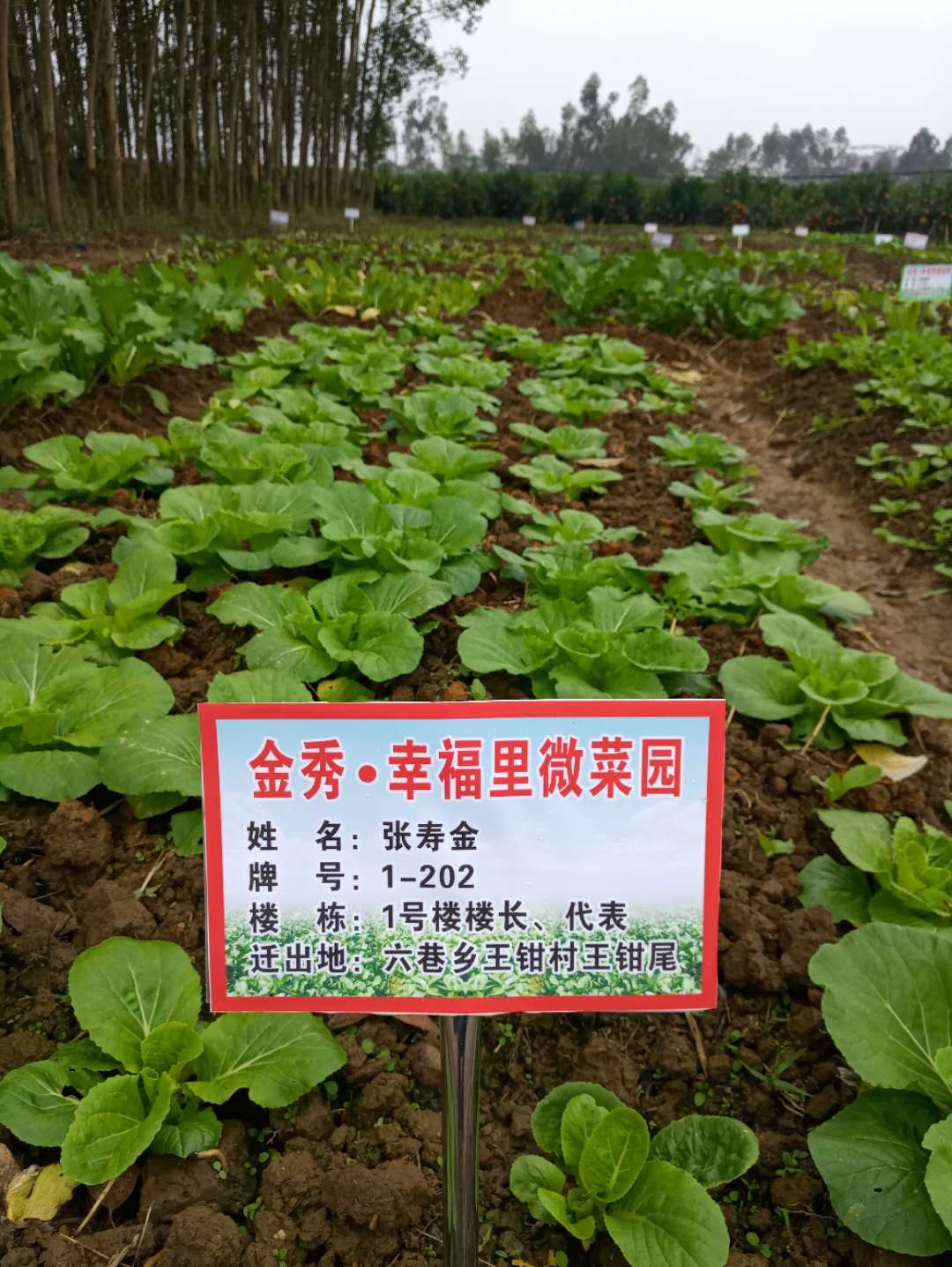 幸福菜园安卓版新家园安卓版免费下载